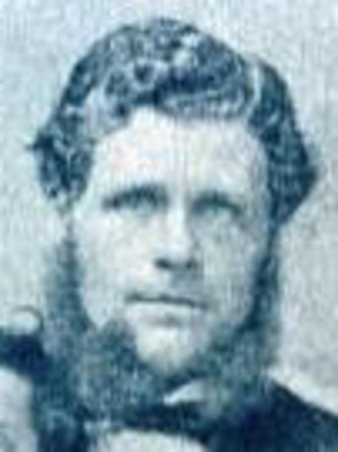 Walter Tate Grimes (1838 - 1926) Profile